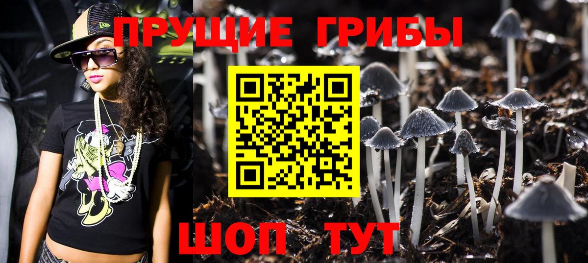 Галлюциногенные грибы Psilocybine cubensis  Галлюциногенные грибы ЛСД  купить наркоту  Вход с VPN  Сосновоборск 