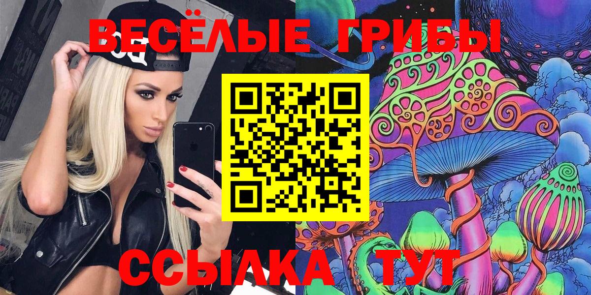 Галлюциногенные грибы Cubensis Сосновоборск